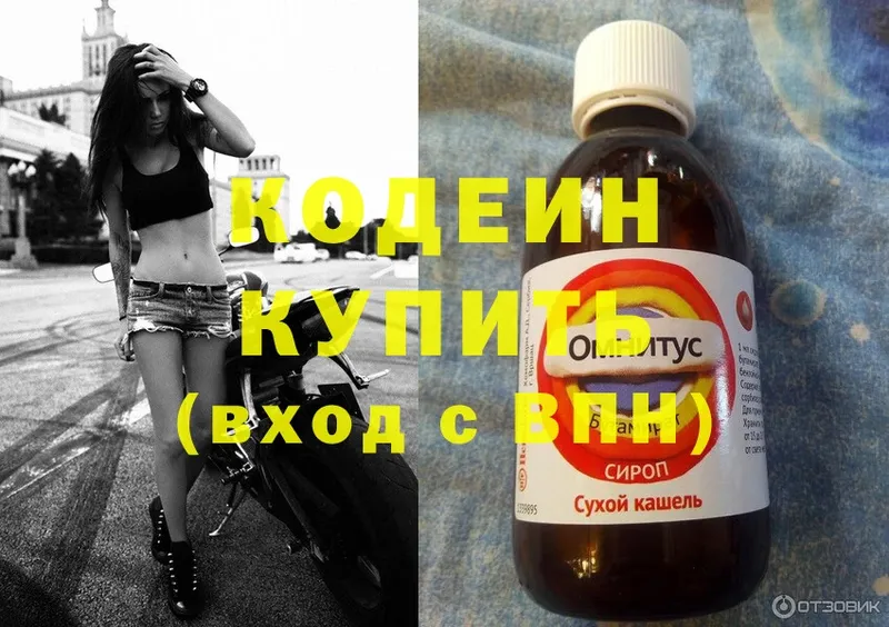 цены наркотик  Приволжск  Кодеиновый сироп Lean Purple Drank 